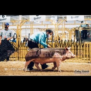 Meet your Posher, Callie